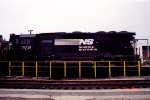 NS 7031